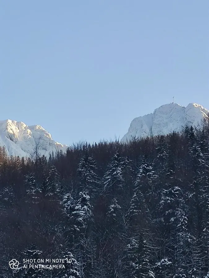 Krzeptowki 135 Apartament Goralowka Apartment Zakopane